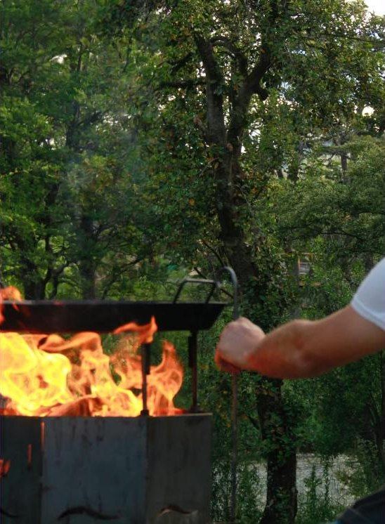 Disco sobre el fuego del fogonero, con árboles detrás
